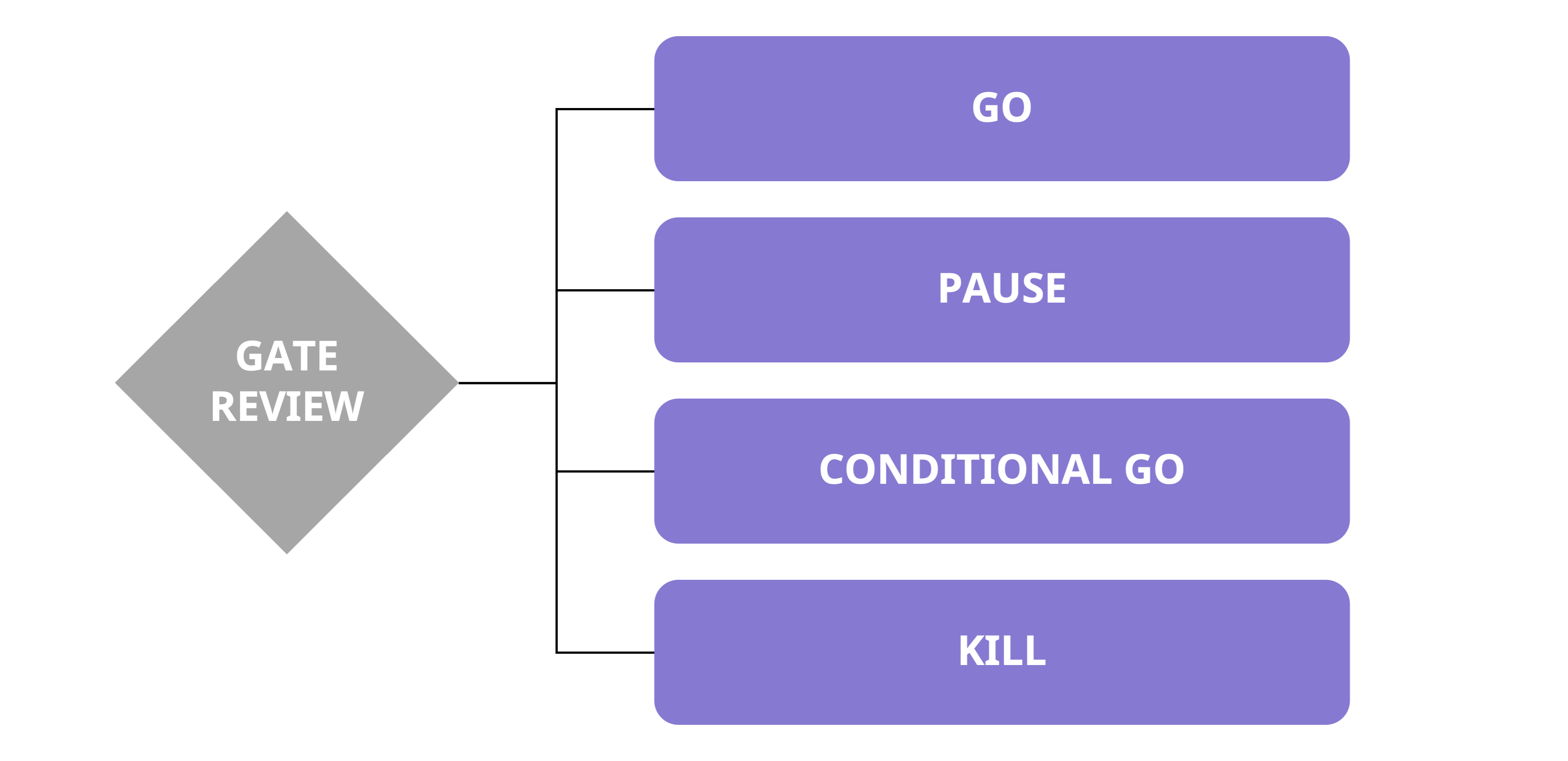 The Ultimate Guide To The Phase Gate Process